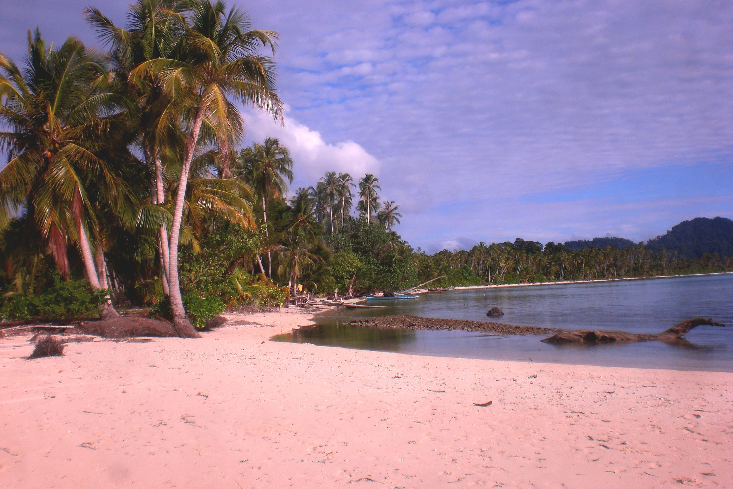 Pariwisata
